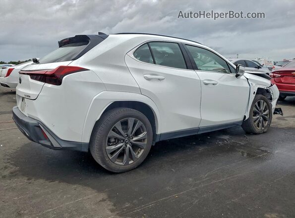 JTHR6JBH4R2163703 2024 LEXUS UX Белый Задняя правая четверть