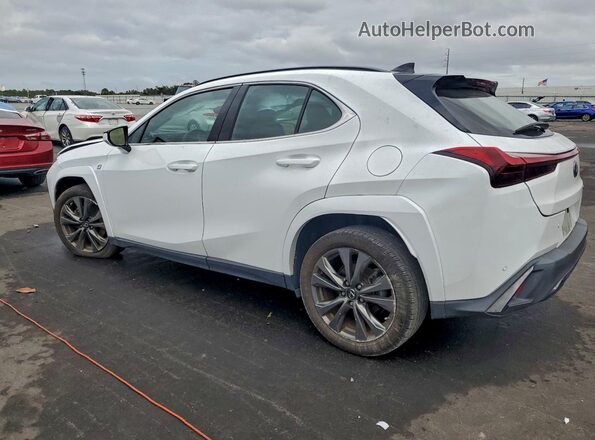 JTHR6JBH4R2163703 2024 LEXUS UX Белый Задняя левая четверть