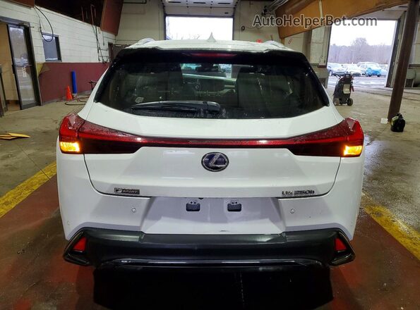 JTHR9JBH1M2052932 2021 LEXUS UX White Вид ззаду