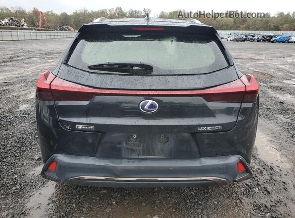 JTHR9JBH6M2050299 2021 LEXUS UX Черный Вид сзади