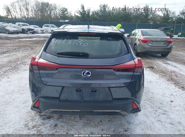 JTHR9JBH8N2059782 2022 LEXUS UX 250H Серый 