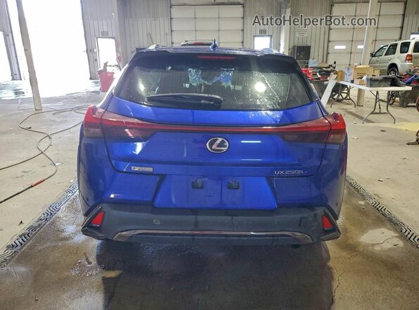 JTHU9JBH0K2003700 2019 LEXUS UX Синий Вид сзади