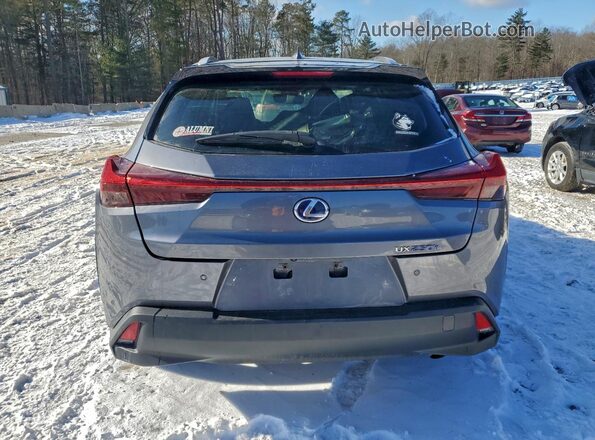 JTHU9JBH1K2012406 2019 LEXUS UX Серый Вид сзади