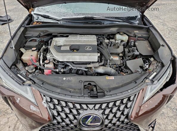 JTHU9JBH3K2007255 2019 LEXUS UX Коричневый Вид задней части салона