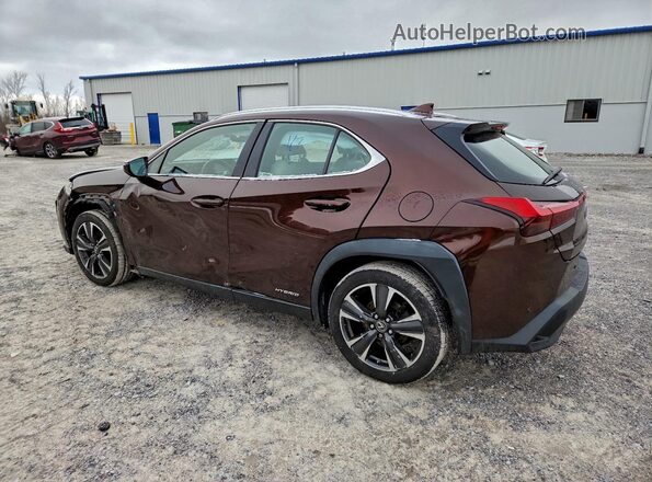 JTHU9JBH3K2007255 2019 LEXUS UX Коричневый Задняя левая четверть