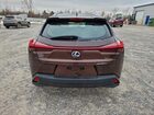 2019 Lexus Ux 250h Коричневый vin: JTHU9JBH3K2007255