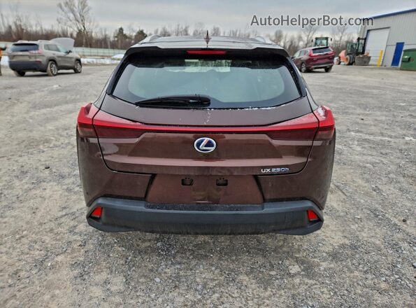 JTHU9JBH3K2007255 2019 LEXUS UX Коричневый Вид сзади