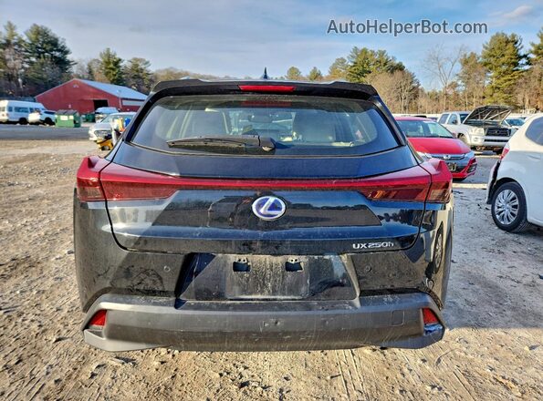 JTHU9JBH3K2013265 2019 LEXUS UX Black Widok z tyłu