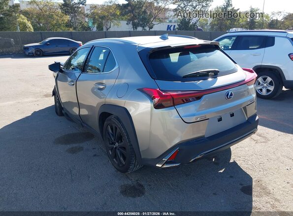 JTHU9JBH3K2014464 2019 LEXUS UX 250H Gray Задня ліва чверть