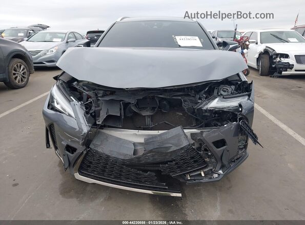 JTHU9JBH4K2002601 2019 LEXUS UX 250H Серый Вид задней части салона