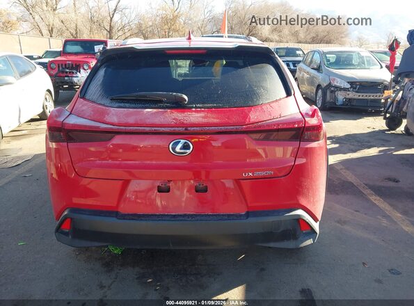 JTHU9JBH4K2004400 2019 LEXUS UX 250H Красный 