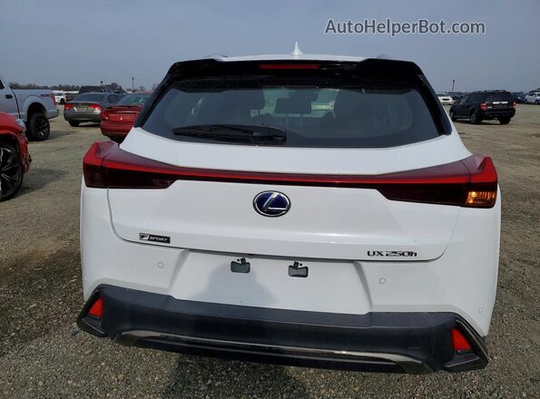 JTHU9JBH6K2011395 2019 LEXUS UX Белый Вид сзади