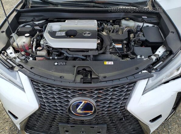 JTHU9JBH6K2011395 2019 LEXUS UX Белый Вид задней части салона