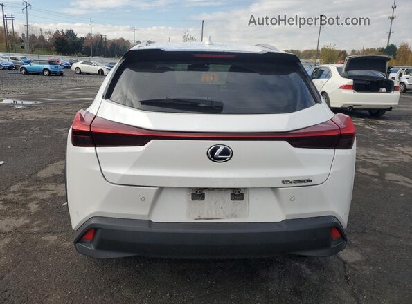 JTHU9JBH6K2012479 2019 LEXUS UX Белый Вид сзади