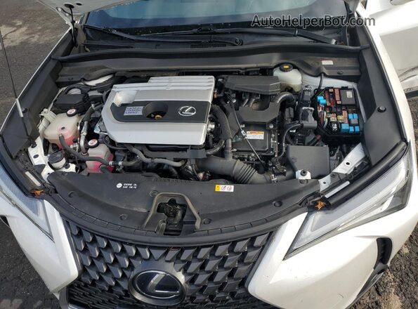 JTHU9JBH6K2012479 2019 LEXUS UX Белый Вид задней части салона