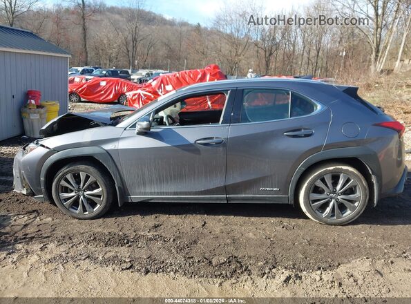 JTHU9JBH9K2000696 2019 LEXUS UX 250H Pewter Панорамный вид салона 360°