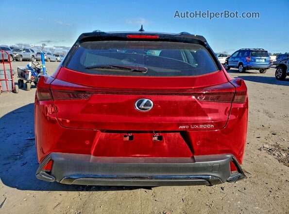 JTHUCJDH2S2008296 2025 LEXUS UX Red Вид ззаду