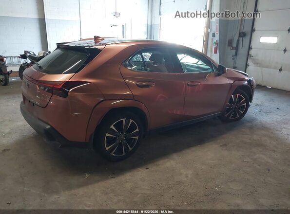 JTHUCJDH6S2003408 2025 LEXUS UX Brown Trasero derecho