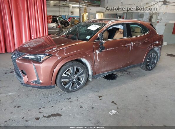 JTHUCJDH6S2003408 2025 LEXUS UX Brown Vista tres cuartos delantera izquierda