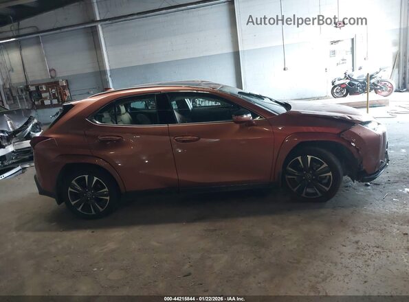 JTHUCJDH6S2003408 2025 LEXUS UX Brown Vista interior trasera