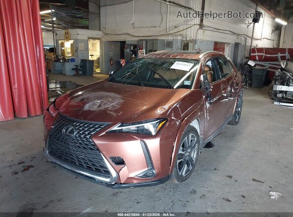 JTHUCJDH6S2003408 2025 LEXUS UX Brown Vista frontal
