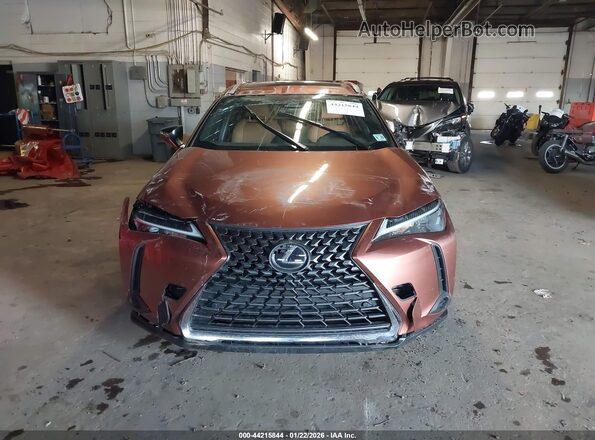 JTHUCJDH6S2003408 2025 LEXUS UX Brown Vista del cuadro de instrumentos