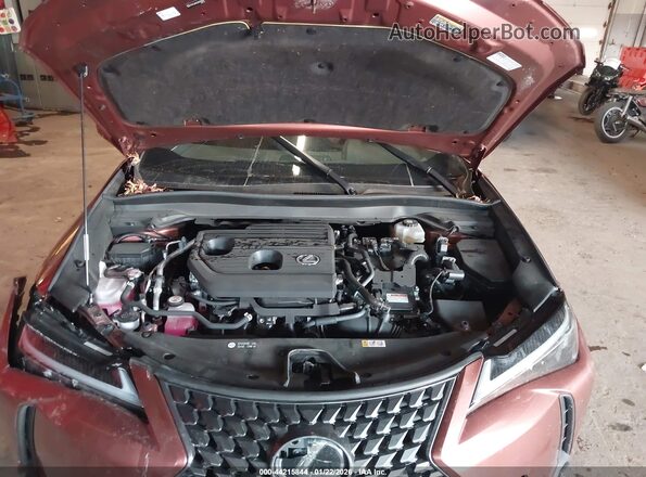 JTHUCJDH6S2003408 2025 LEXUS UX Brown Vista trasera