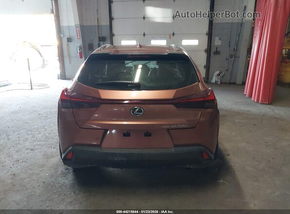 JTHUCJDH6S2003408 2025 LEXUS UX Brown 