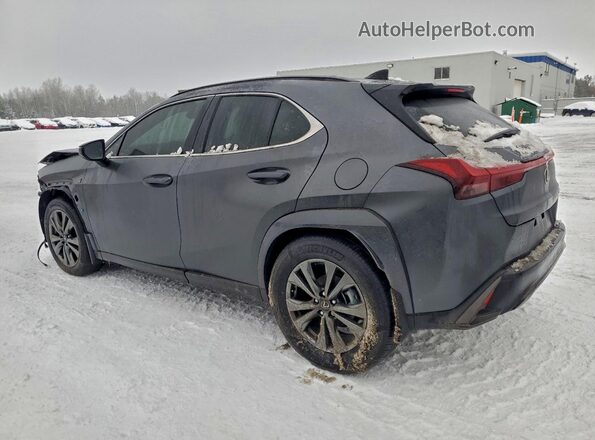 JTHUCJDH9S2011759 2025 LEXUS UX Black Tył lewy