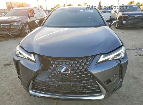 JTHX3JBH3N2050870 2022 LEXUS UX Gray Vista trasera