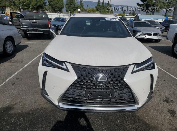 JTHX3JBH9L2022505 2020 LEXUS UX White Դիմացի տեսք