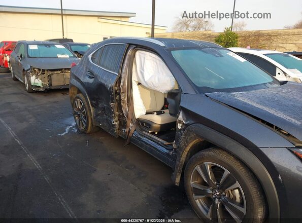 JTHX6JBH5R2168271 2024 LEXUS UX 250H Gray Widok z przodu