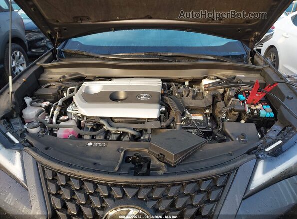 JTHX6JBH5R2168271 2024 LEXUS UX 250H Gray Widok z tyłu