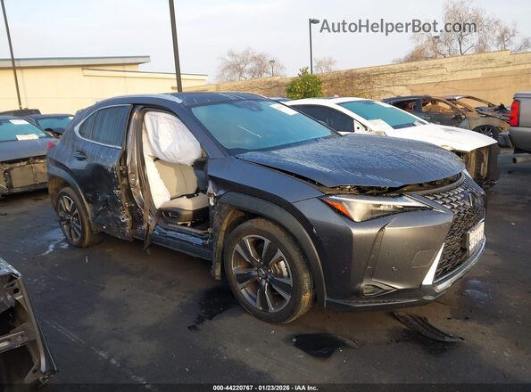 JTHX6JBH5R2168271 2024 LEXUS UX 250H Gray Widok wnętrza 360 stopni