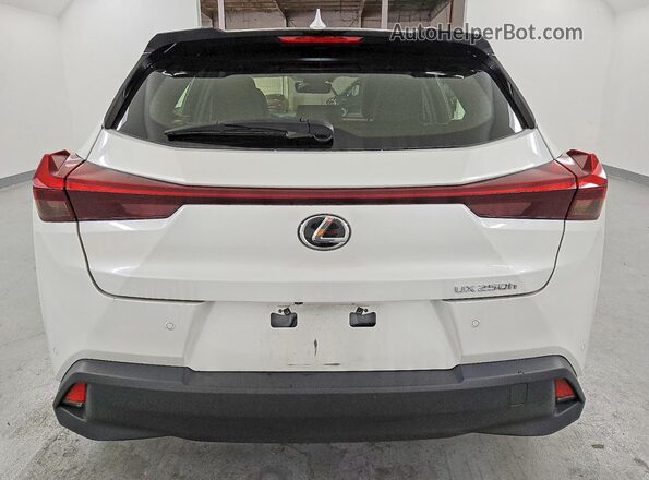 JTHX6JBH6R2187945 2024 LEXUS UX Белый Вид сзади