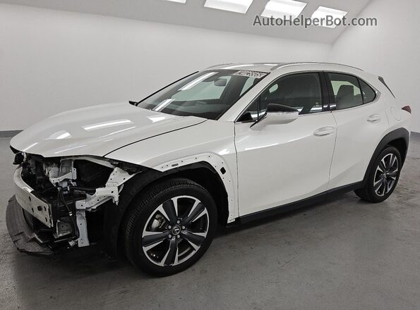 JTHX6JBH6R2187945 2024 LEXUS UX Белый 