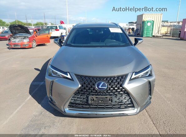 JTHX6JBH9L2066611 2020 LEXUS UX 250H Серый Вид задней части салона