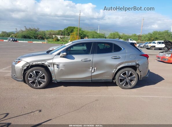 JTHX6JBH9L2066611 2020 LEXUS UX 250H Серый 