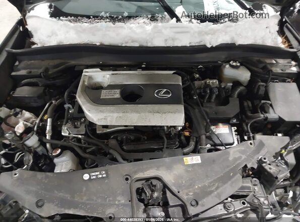 JTHX9JBH7M2052943 2021 LEXUS UX 250H Черный Вид сзади