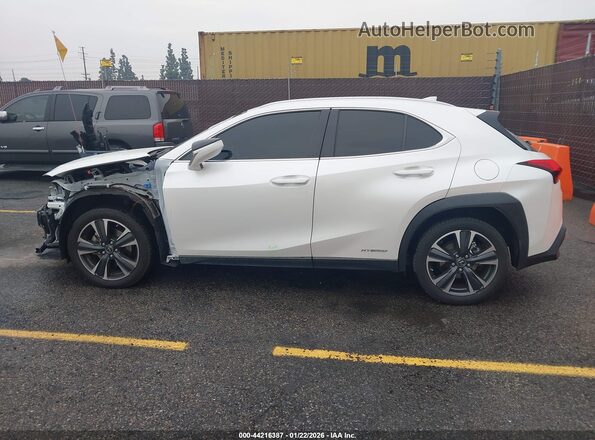 JTHX9JBH9L2035902 2020 LEXUS UX 250H Белый 