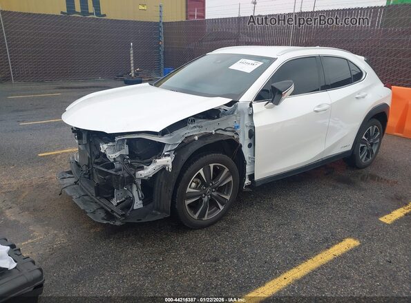 JTHX9JBH9L2035902 2020 LEXUS UX 250H Белый Передняя левая четверть