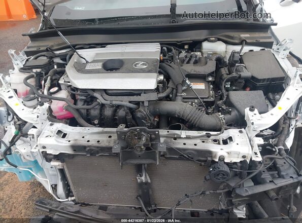 JTHX9JBH9L2035902 2020 LEXUS UX 250H Белый Вид сзади