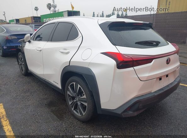 JTHX9JBH9L2035902 2020 LEXUS UX 250H Белый Задняя левая четверть