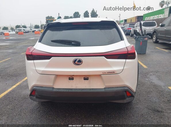 JTHX9JBH9L2035902 2020 LEXUS UX 250H Белый 