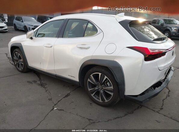 JTHX9JBHXM2042181 2021 LEXUS UX 250H Белый Задняя левая четверть