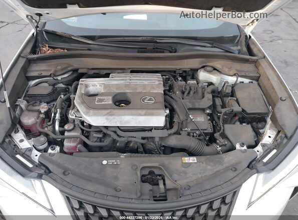 JTHX9JBHXM2042181 2021 LEXUS UX 250H Белый Вид сзади