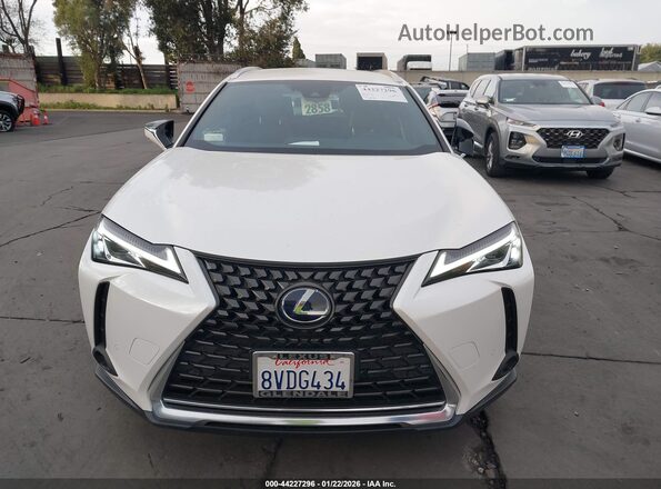 JTHX9JBHXM2042181 2021 LEXUS UX 250H Белый Вид задней части салона