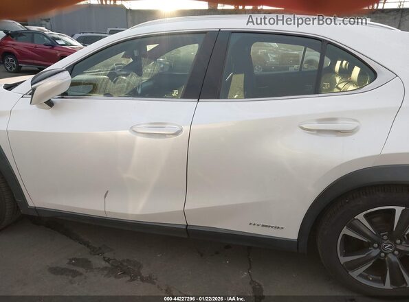 JTHX9JBHXM2042181 2021 LEXUS UX 250H Белый 