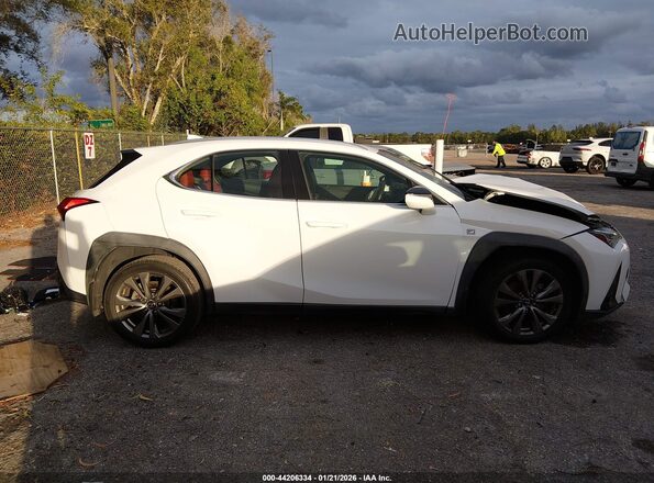 JTHY3JBH2K2005483 2019 LEXUS UX 200 White Rear interior view