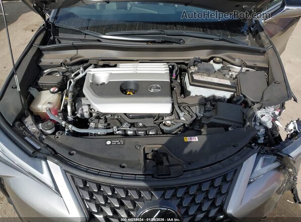 JTHY3JBH3K2000423 2019 LEXUS UX 200 Silver Vista trasera